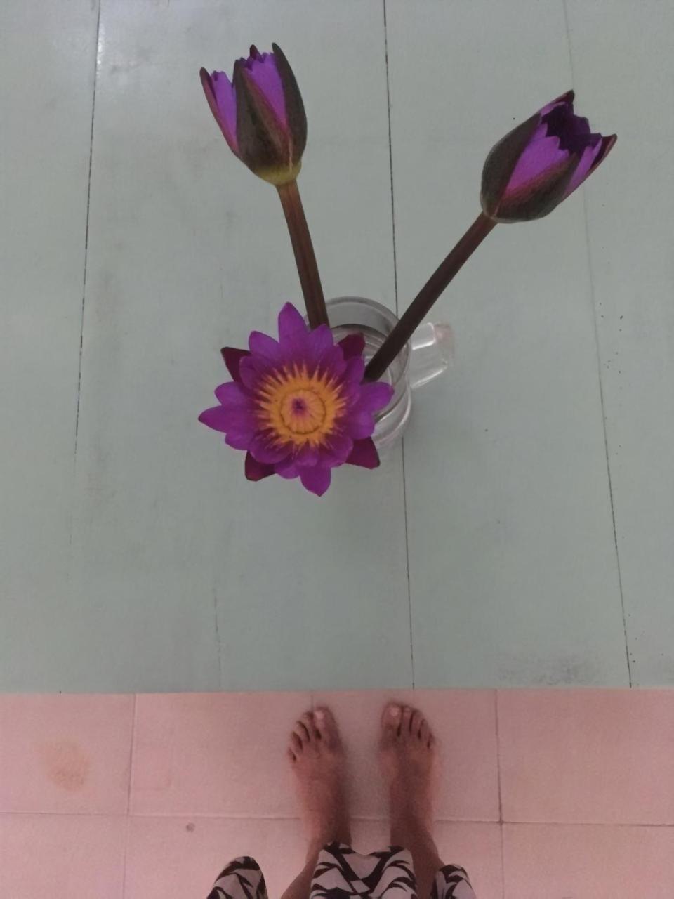 Layback Boutique Surf & Yoga Camp Sri Lanka Hostel Weligama Εξωτερικό φωτογραφία