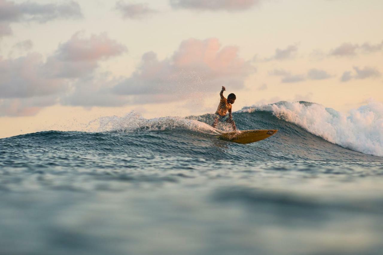 Layback Boutique Surf & Yoga Camp Sri Lanka Hostel Weligama Εξωτερικό φωτογραφία